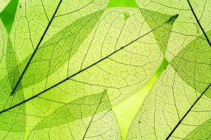 Artificial Photosynthesis to Produce Clean Energy from Sunlight